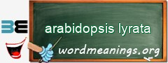 WordMeaning blackboard for arabidopsis lyrata